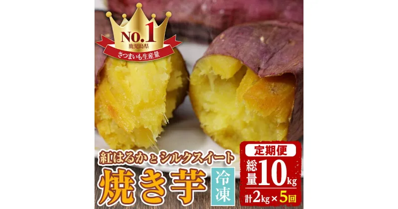 【ふるさと納税】＜定期便・全5回＞紅はるかとシルクスイートの焼き芋セット(合計10kg) やきいも 焼いも 焼芋 冷凍 さつまいも サツマイモ さつま芋 蜜 冷凍 お取り寄せ ギフト 贈答 【甘宮】