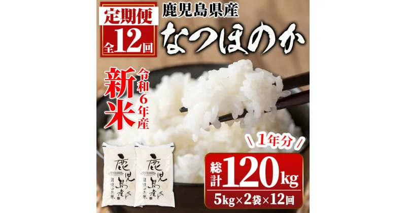 【ふるさと納税】＜定期便・計12回(連続)＞令和6年産 新米 鹿児島県産なつほのか 白米 (5kg×2袋・計10kg)×全12回 ＜総計120kg＞ 国産 自家精米 精米 白米 ご飯 お米 コメ こめ なつほのか 常温 定期便 毎月 連続月 【新村畜産】