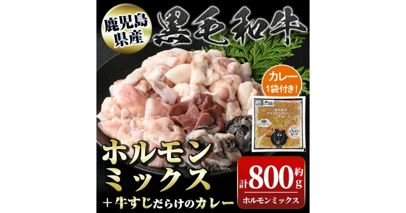 【ふるさと納税】黒毛和牛ホルモンミックス(計800g)＋黒毛和牛牛すじだらけのカレー(1袋)セット！ 鹿児島 国産 牛肉 黒毛和牛 牛肉専門店 和牛日本一 惣菜 おかず 牛すじ ホルモン ミックス レトルトカレー ご当地カレー【新村畜産】