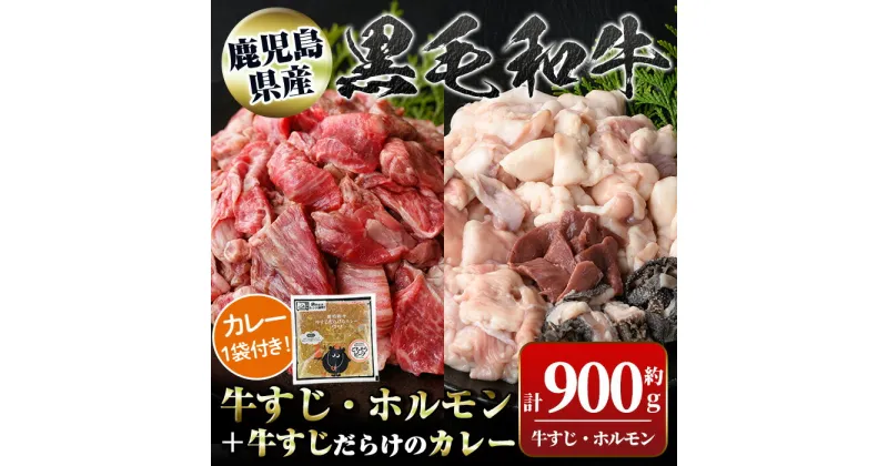 【ふるさと納税】黒毛和牛牛すじ・ホルモンミックス(約500g＋約400g)+牛すじだらけのカレー(180g)セット 鹿児島 国産 九州産 黒毛和牛 牛肉 お肉 ビーフ 牛すじ ホルモン ミックス モツ もつ レトルトカレー ご当地カレー 煮込み ギフト 贈答【新村畜産】