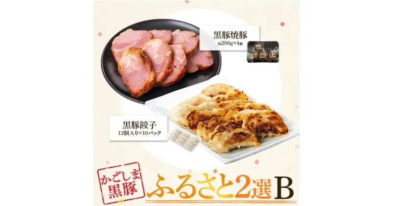 【ふるさと納税】ふるさと2選B 焼豚(約200g×4個・計約1kg)と餃子(12個入×10パック・計120個)のセット 鹿児島 国産 九州産 黒豚 豚肉 お肉 焼豚 餃子 冷凍 おかず ギフト 贈答 特別な日に【和田養豚】