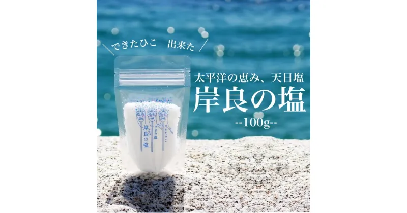 【ふるさと納税】できたひこ出来た塩 岸良の塩 (100g) 国産 塩 しお ソルト salt 調味料 ミネラル パック 天日塩 天然 無添加 【岸良リトリート】