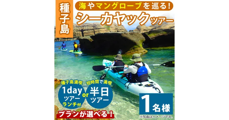 【ふるさと納税】＜プランが選べる！＞シーカヤックツアー(1名様分：3時間or7時間ランチ付)種子島 島 カヤック ツアー 観光 海 レジャー【Lulusun】