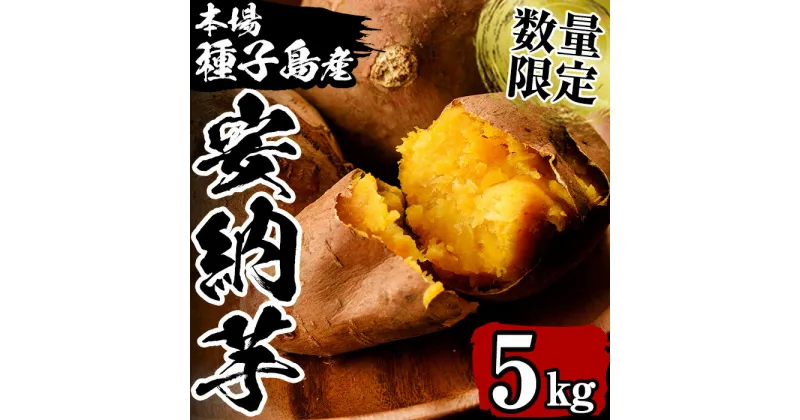 【ふるさと納税】数量限定！種子島産 安納芋(5kg) 国産 安納芋 本場 種子島 芋 イモ いも さつまいも さつま芋 安納いも 野菜【永濱農園】