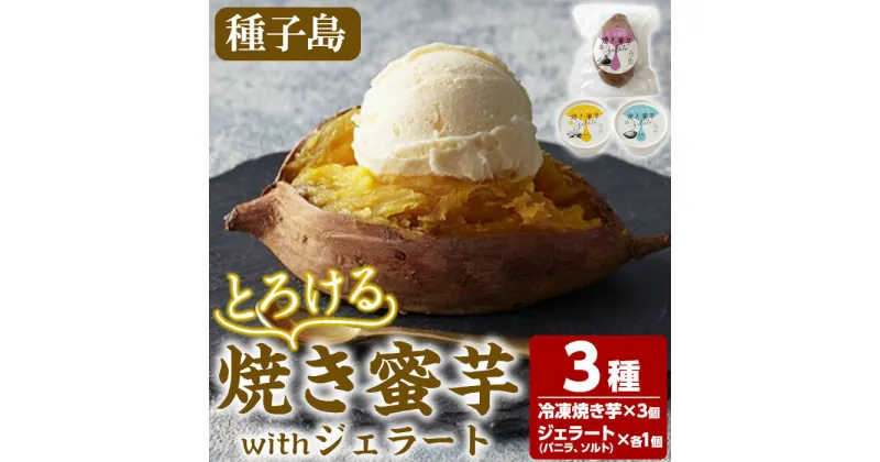 【ふるさと納税】とろける焼き蜜芋withジェラート(合計5個・3種)国産 種子島 安納芋 安納いも 芋 イモ いも 焼き芋 焼芋 やきいも お菓子 スイーツ デザート おやつ【大和通商株式会社】