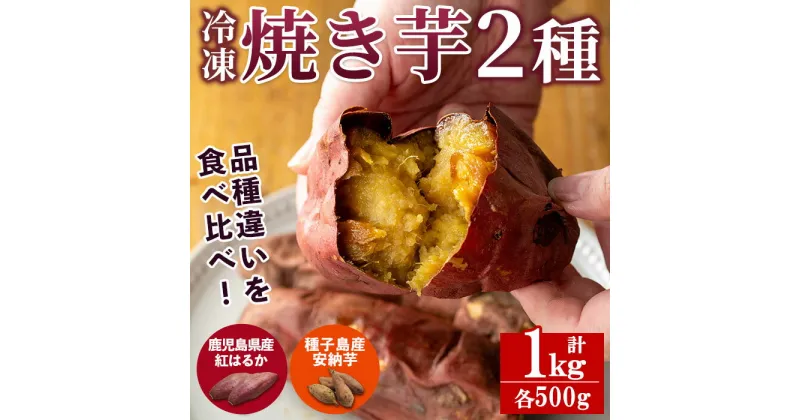 【ふるさと納税】＜数量限定＞「鹿児島県産紅はるかの冷凍焼き芋」と「種子島産安納芋の冷凍焼き芋」食べ比べセット(計1kg) 国産 焼き芋 さつまいも さつま芋 安納芋 安納いも サツマイモ べにはるか 焼芋【ファーム工房】