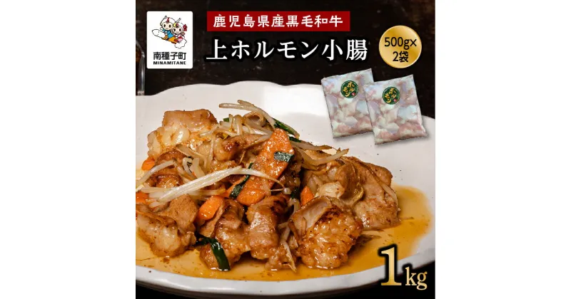 【ふるさと納税】 黒毛和牛 上 ホルモン 小腸 500g 2袋 牛 牛肉 黒毛和牛 加工品 お祝い 父の日 敬老の日 食品 グルメ お取り寄せ おすそわけ 人気 おすすめ ギフト 返礼品 南種子町 鹿児島 かごしま 【Kitchen 姫ファーム】