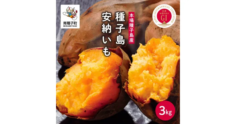 【ふるさと納税】 《先行予約》 種子島 安納いも さつまいも 3kg 焼きいも 焼き芋 本場 安納芋 Qさま キューさま さつま芋 甘い ねっとり スイーツ おやつ グルメ お取り寄せ おせち 人気 種子島産 返礼品 南種子町 鹿児島 かごしま 【観光物産館トンミー市場】