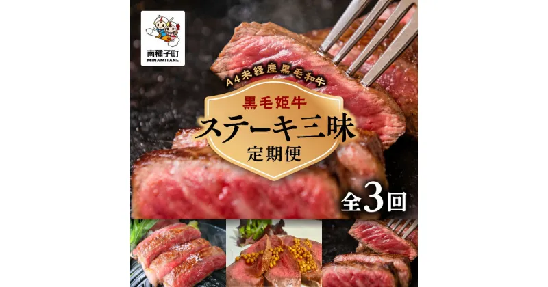 【ふるさと納税】 《 定期便 全3回 》 ステーキ 三昧 牛 牛肉 黒毛和牛 定期 サーロイン フィレ モモ 父の日 敬老の日 食品 グルメ お取り寄せ おすそわけ 人気 おすすめ ギフト 返礼品 南種子町 鹿児島 かごしま 【Kitchen 姫ファーム】