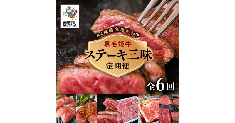 【ふるさと納税】 《 定期便 全6回 》 ステーキ 三昧 牛 牛肉 黒毛和牛 定期 サーロイン フィレ モモ 父の日 敬老の日 食品 グルメ お取り寄せ おすそわけ 人気 おすすめ ギフト 返礼品 南種子町 鹿児島 かごしま 【Kitchen 姫ファーム】