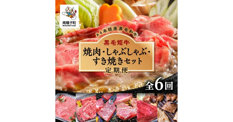 【ふるさと納税】 《 定期便 全6回 》 焼肉 しゃぶしゃぶ すき焼き セット 牛 牛肉 黒毛和牛 定期 肩ロース モモ リブロース 父の日 敬老の日 食品 グルメ お取り寄せ 人気 おすすめ ギフト 返礼品 南種子町 鹿児島 かごしま 【Kitchen 姫ファーム】