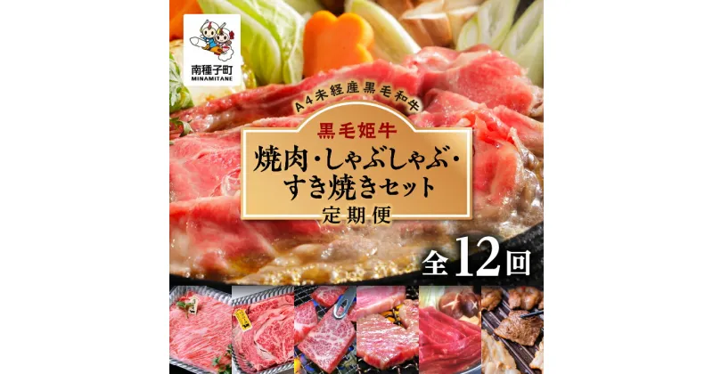 【ふるさと納税】 《 定期便 全12回 》 焼肉 しゃぶしゃぶ すき焼き セット 牛 牛肉 黒毛和牛 定期 肩ロース モモ リブロース 父の日 敬老の日 食品 グルメ お取り寄せ 人気 おすすめ ギフト 返礼品 南種子町 鹿児島 かごしま 【Kitchen 姫ファーム】