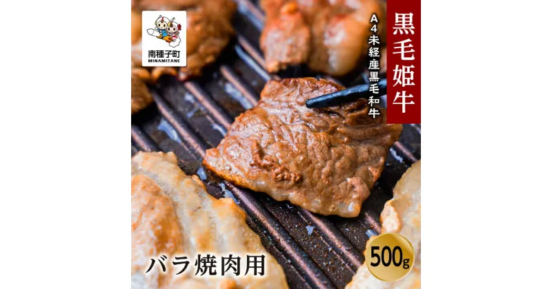 【ふるさと納税】 黒毛姫牛 バラ 焼肉用 500g A4 未経産 黒毛和牛 肉 にく 牛 牛肉 バラ肉 焼肉 焼き肉 国産 和牛 バーベキュー キャンプ 食品 グルメ お取り寄せ 人気 おすすめ ギフト お中元 お歳暮 返礼品 南種子町 鹿児島 かごしま 送料無料 【Kitchen 姫ファーム】