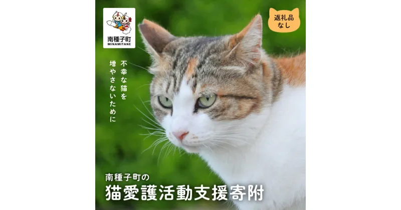 【ふるさと納税】 《返礼品なし》 猫愛護活動支援 猫ちゃん 猫 ねこ 動物 保護 愛護 保護活動 応援 支援 寄付 南種子町 鹿児島 かごしま 送料無料 【南種子町猫の適正飼養を推進する会】