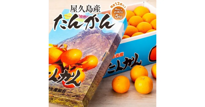 【ふるさと納税】2025年 屋久島産たんかん 約40玉入（約5kg／Mサイズ）＜先行予約／数量限定＞ | ふるさと 納税 お取り寄せ 取り寄せ ご当地 たんかん タンカン くだもの 果物 フルーツ 特産品 名産品 柑橘 柑橘類 かんきつ類 柑橘フルーツ 果実 国産