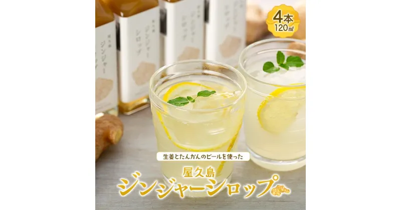 【ふるさと納税】屋久島ジンジャーシロップ 小(120ml)×4本セット | 鹿児島県 屋久島町 鹿児島 屋久島 支援品 ふるさと 納税 支援 返礼品 お取り寄せ お土産 ジンジャーシロップ ジンジャー ジンジャーエール 九州 生姜シロップ しょうがシロップ しょうが 生姜 炭酸割り