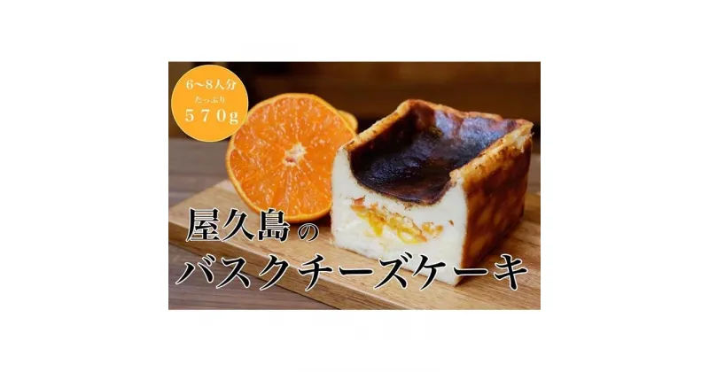 【ふるさと納税】屋久島の手作りバスクチーズケーキ （たんかん） | チーズ ケーキ スイーツ デザート お菓子 洋菓子 おかし 果物 くだもの フルーツ 柑橘 レモン お取り寄せ グルメ 人気 おすすめ 鹿児島県