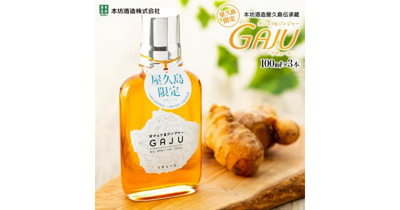 【ふるさと納税】屋久島限定リキュール GAJU（ガジュ）100ml×3本セット＜本坊酒造 屋久島伝承蔵＞ | 300ml お酒 酒 アルコール ソーダ割り 生姜 ジンジャー ウコン ご当地 セット 本坊酒造 鹿児島 屋久島 お取り寄せ