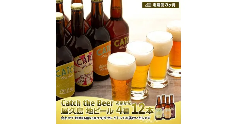 【ふるさと納税】【定期便3ヶ月】屋久島・地ビール Catch the Beerおまかせビール4種12本セット | 地ビール 瓶ビール ビール 4種類 330ml 12本 飲み比べ セット 詰め合わせ キャッチザビア アルコール お酒 鹿児島県 屋久島町 鹿児島 屋久島 楽天ふるさと