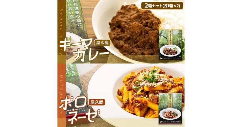 【ふるさと納税】屋久鹿キーマカレー・屋久鹿ボロネーゼの2箱セット（各1箱×2）