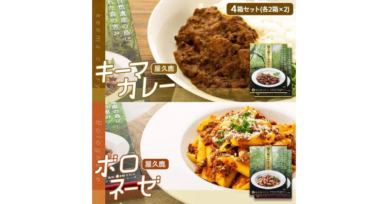 【ふるさと納税】屋久鹿キーマカレー・屋久鹿ボロネーゼの4箱セット（各2箱×2）