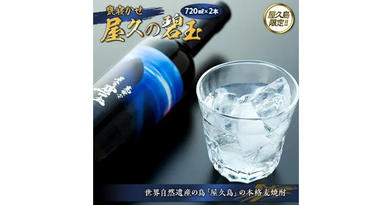 【ふるさと納税】屋久の碧玉 720ml×2本セット＜屋久島限定！本格麦焼酎「屋久の碧玉」＞ | 鹿児島 屋久島町 お取り寄せ ご当地 焼酎 麦焼酎 麦 本格焼酎 お酒 セット 宅飲み 地酒 数量限定 720 本坊酒造