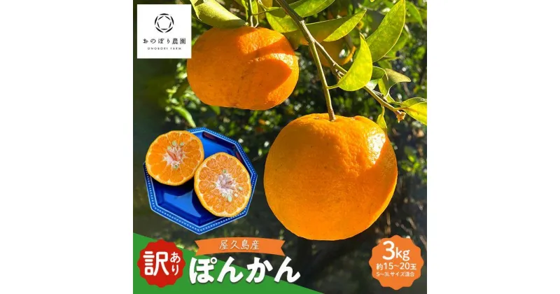 【ふるさと納税】【先行予約】訳あり 家庭用 屋久島産ぽんかん 3kg（S〜3Lサイズ混合・約15〜20玉） | ポンカン 鹿児島県 屋久島町 鹿児島 屋久島 お取り寄せ 取り寄せ ご当地 くだもの 果物 フルーツ 特産品 名産品 柑橘 柑橘類 かんきつ類 柑橘フルーツ