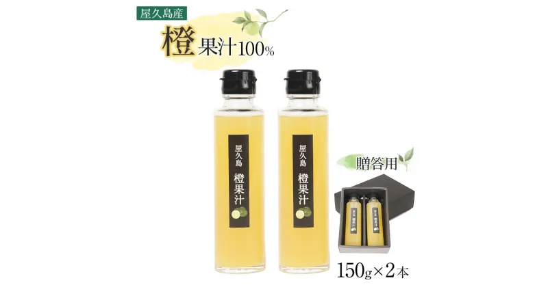 【ふるさと納税】【先行予約】＜屋久島産 橙 100%＞橙果汁 150g×2本 セット【贈答用】 | 100% 果汁 果物 くだもの フルーツ だいだい 鹿児島 屋久島 ご当地 お取り寄せ 人気 おすすめ