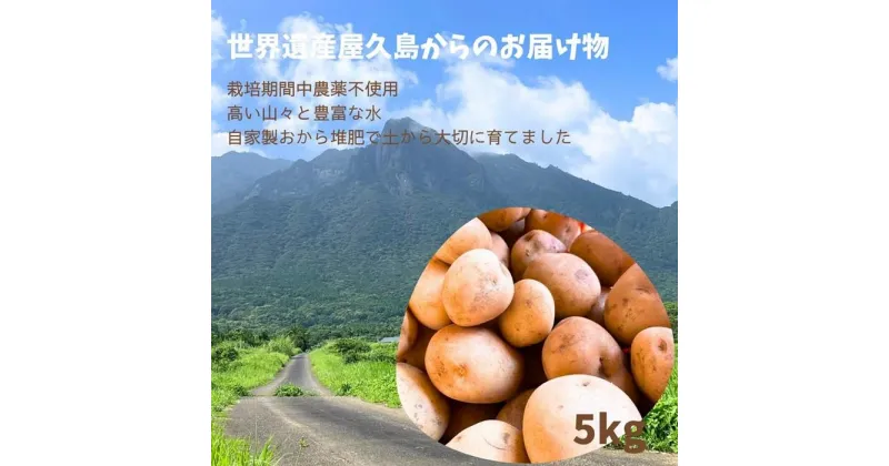 【ふるさと納税】【2025年3月上旬頃から発送】屋久島産 じゃがいも 5kg＜農薬不使用＞ | 鹿児島県 屋久島町 鹿児島 屋久島 鹿児島県屋久島 ふるさと 納税 お取り寄せ 取り寄せ ご当地 じゃがいも ジャガイモ 野菜 食品 食べ物 特産品 名産品