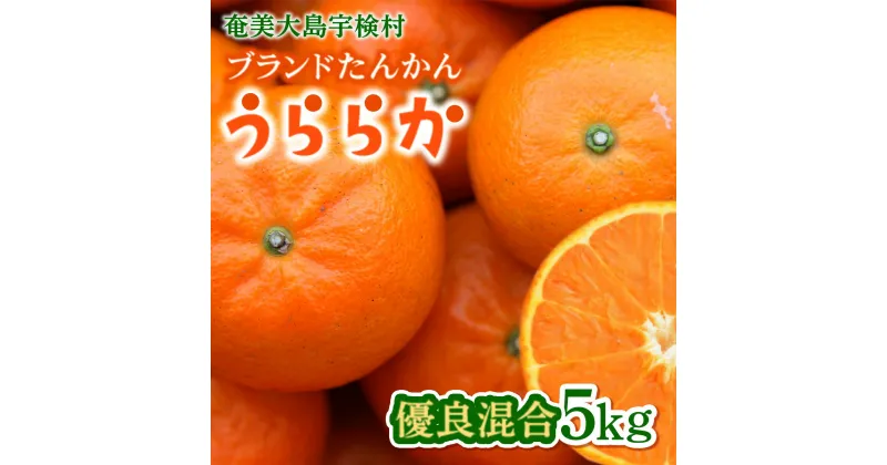 【ふるさと納税】【先行予約※2025年発送分】完熟 ブランド たんかん 5kg 優品 良品 柑橘 みかん 奄美 宇検村 奄美大島産 光センサー 果物 奄美のみかん 厳選 糖度10度以上 甘い 数量 期間 限定 鹿児島 おすすめ ランキング プレゼント ギフト 家庭用