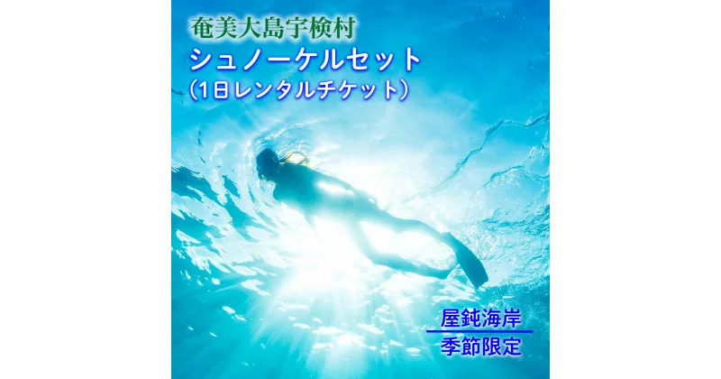 【ふるさと納税】屋鈍の海で シュノーケル（1日レンタルチケット・季節限定）奄美大島 宇検村 鹿児島県 旅行 体験 奄美ブルー