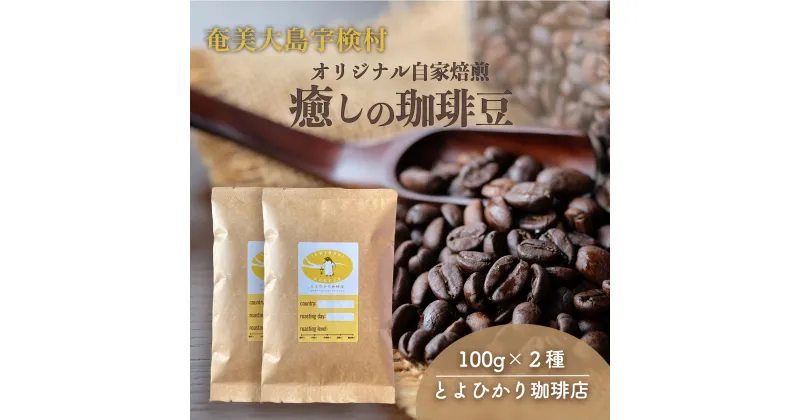 【ふるさと納税】コーヒー コーヒー豆（100g×2種）自家焙煎 こだわりのコーヒー 店主おすすめ エクアドル インドネシア 鹿児島県 奄美大島 宇検村〈とよひかり 珈琲店 〉ギフト 送料無料