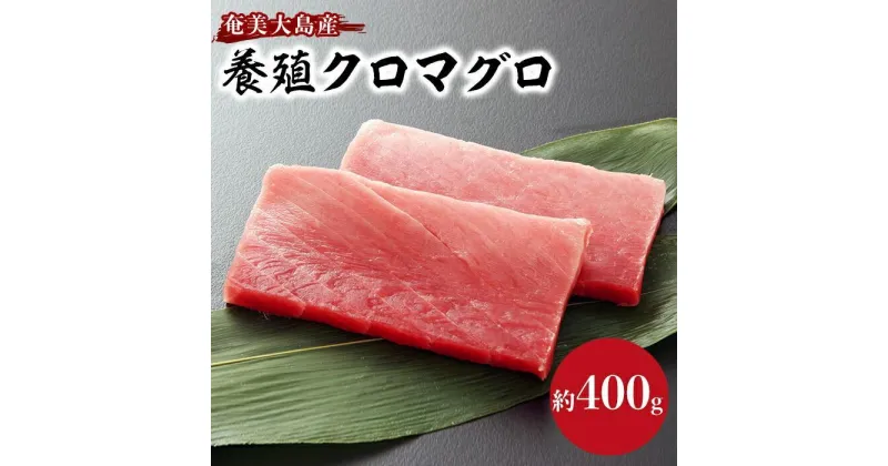 【ふるさと納税】奄美大島産養殖クロマグロ 2柵セット 400g以上 中トロ 赤身 冷凍 | マグロ 鮪 中トロ 赤身 約400g 2柵 刺身 養殖 クロマグロ 海鮮丼 手巻き寿司 魚介類 海鮮 高級 お取り寄せ グルメ ギフト おつまみ 瀬戸内町 黒マグロ 瀬戸内奄美大島 鹿児島 九州