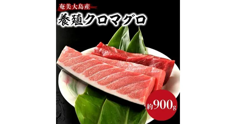 【ふるさと納税】奄美大島産養殖クロマグロ 4柵セット 900g以上 大トロ 中トロ 赤身 冷凍 | マグロ 約900g 4柵 鮪 刺身 養殖 海鮮丼 手巻き寿司 魚介類 海鮮 高級 お取り寄せ グルメ ギフト おつまみ 鹿児島県 瀬戸内町 黒マグロ 送料無料 瀬戸内 奄美 奄美大島 鹿児島 九州