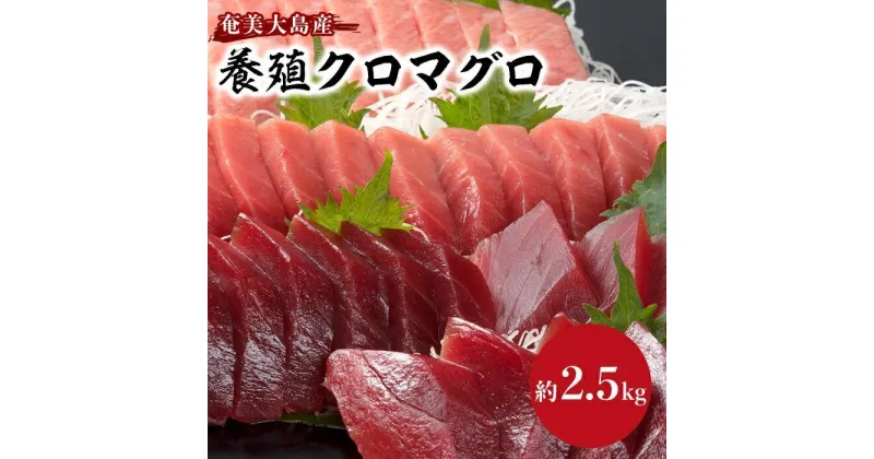 【ふるさと納税】奄美大島産養殖クロマグロ 2.5kg以上 まるごと満喫セット 柵11P他 大トロ 中トロ 赤身 かま ホホの身 大容量 冷凍 | 鮪 約2.5kg 刺身 養殖 海鮮 高級 増量 お取り寄せ グルメ ギフト おつまみ 瀬戸内町 黒マグロ 送料無料 瀬戸内 奄美 鹿児島 九州