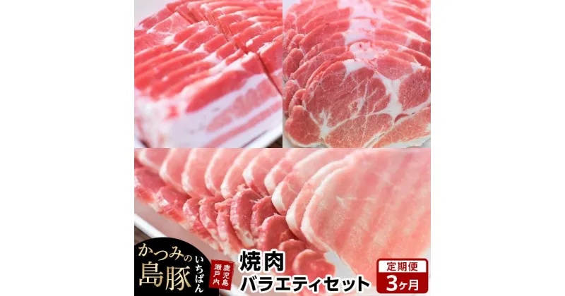 【ふるさと納税】【定期便3か月】かつみの島豚いちばん焼肉バラエティセット 750g（250g×3パック） | 瀬戸内 瀬戸内町 奄美 奄美大島 鹿児島 鹿児島県 九州 お取り寄せ 肉 豚肉 豚 焼肉 焼き肉 定期便 ご当地 取り寄せ 送料無料