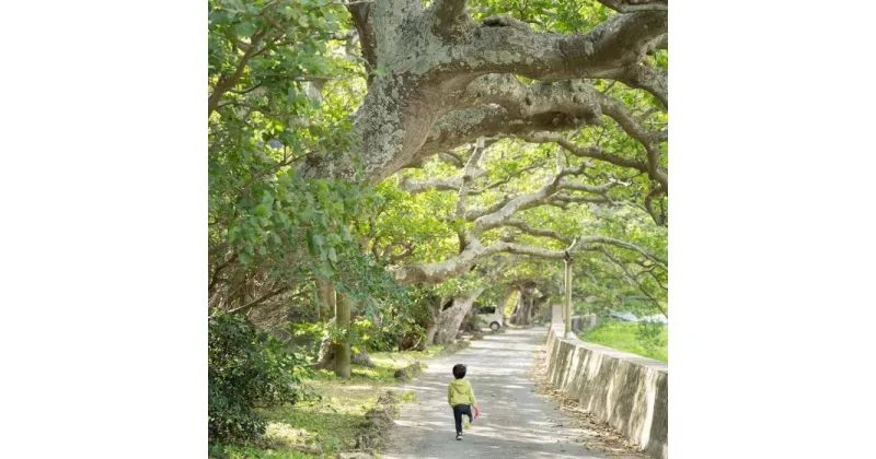 【ふるさと納税】加計呂麻島散策ツアー【6時間コース】