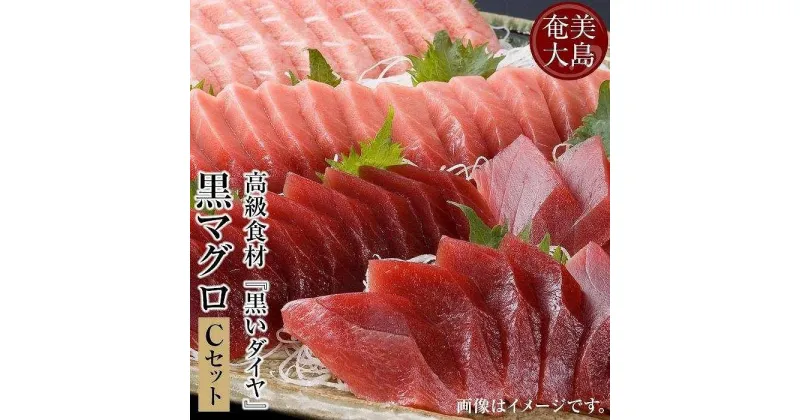 【ふるさと納税】鹿児島県奄美大島産高級食材『黒いダイヤ』黒マグロ　Cセット | 1kg 奄美 奄美大島 マグロ 鮪 瀬戸内町 鹿児島 鹿児島県 九州 海鮮 送料無料 魚介類 大トロ 中トロ おすすめ 加計呂麻島 塩 お取り寄せ