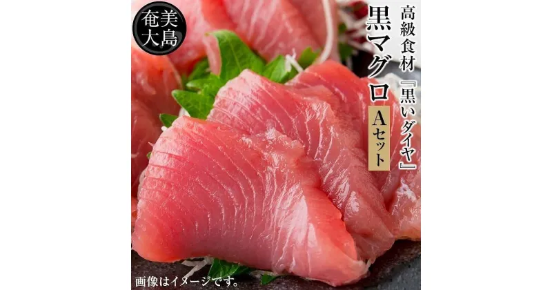 【ふるさと納税】鹿児島県奄美大島産高級食材『黒いダイヤ』黒マグロ　Aセット | 400g 奄美 奄美大島 マグロ 鮪 瀬戸内町 鹿児島 鹿児島県 九州 海鮮 送料無料 魚介類 中トロ おすすめ 加計呂麻島 塩 お取り寄せ