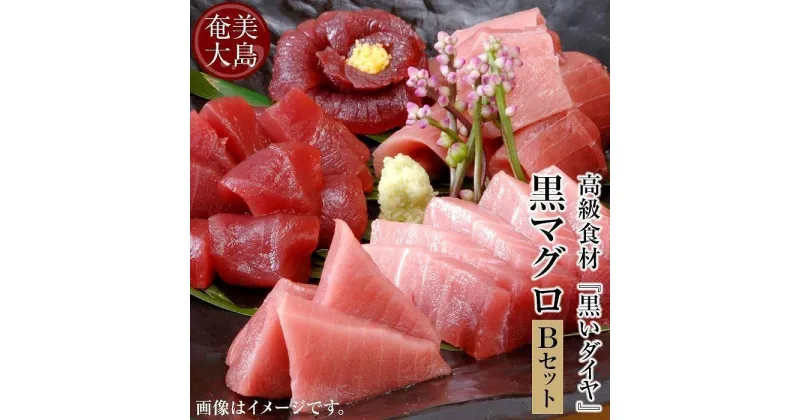 【ふるさと納税】鹿児島県奄美大島産高級食材『黒いダイヤ』黒マグロ　Bセット | 600g 奄美 奄美大島 マグロ 鮪 瀬戸内町 鹿児島 鹿児島県 九州 海鮮 送料無料 魚介類 大トロ 中トロ おすすめ 加計呂麻島 塩 お取り寄せ