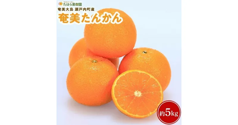 【ふるさと納税】【2025年2月以降発送】奄美たんかん 約5kg＜数量限定／先行予約＞ | 5kg 奄美 奄美大島 たんかん フルーツ 果物 期間限定 瀬戸内町 鹿児島 鹿児島県 九州 送料無料 おすすめ 人気 柑橘 お取り寄せ