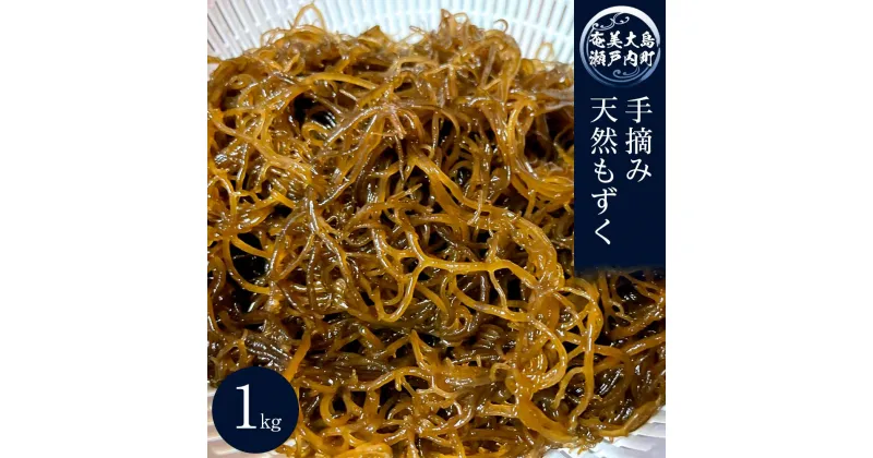 【ふるさと納税】奄美大島瀬戸内町産　手摘み天然もずく 1Kg | 魚介類 水産 食品 人気 おすすめ 送料無料