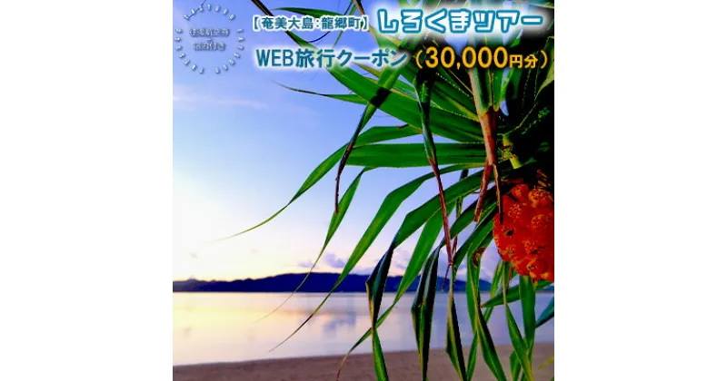 【ふるさと納税】【奄美大島：龍郷町】しろくまツアーで利用可能なWEB旅行クーポン（30000円分）