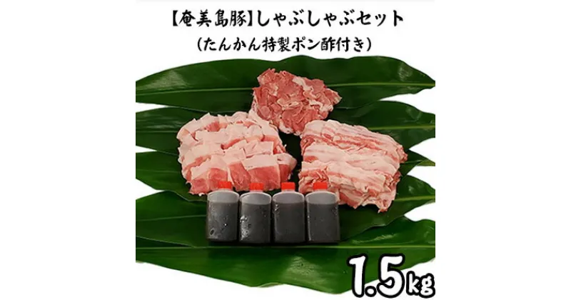 【ふるさと納税】【奄美島豚】しゃぶしゃぶセット1.5kg（たんかん特製ポン酢付き）