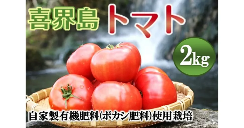 【ふるさと納税】【2025年1月から発送】『喜界島トマト』自家製有機肥料(ボカシ肥料)使用栽培　2kg【日付指定不可】