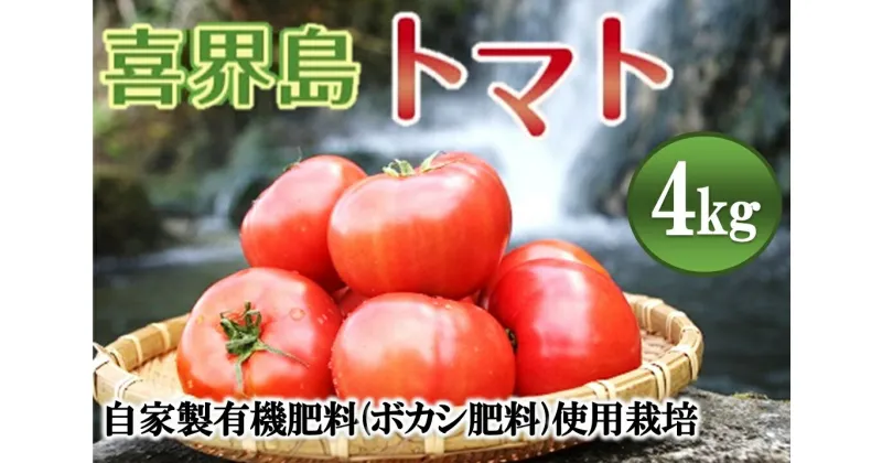 【ふるさと納税】【2025年1月から発送】『喜界島トマト』自家製有機肥料(ボカシ)使用栽培　4kg