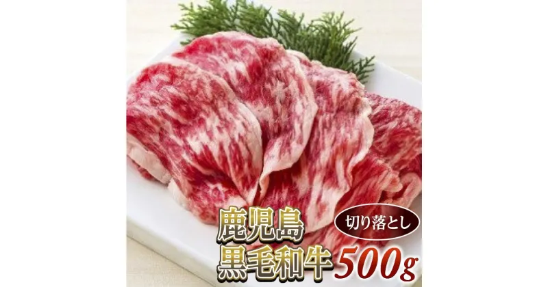 【ふるさと納税】切り落とし500g　鹿児島黒毛和牛(尾崎牧場産)A4〜A5クラス/冷凍発送