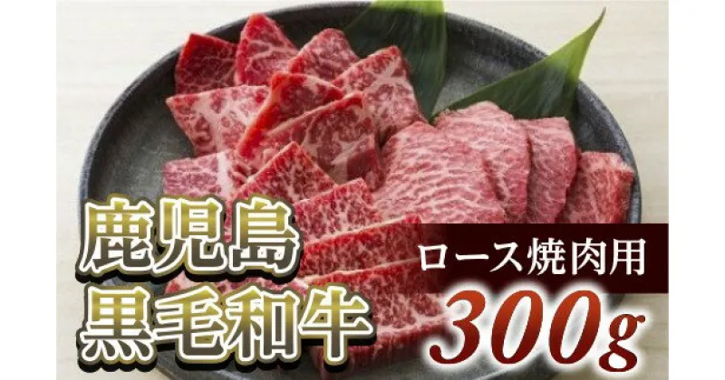 【ふるさと納税】ロース焼肉用300g　鹿児島黒毛和牛(尾崎牧場産)冷凍発送A4〜A5クラス/肩ロース・ロース/霜降り