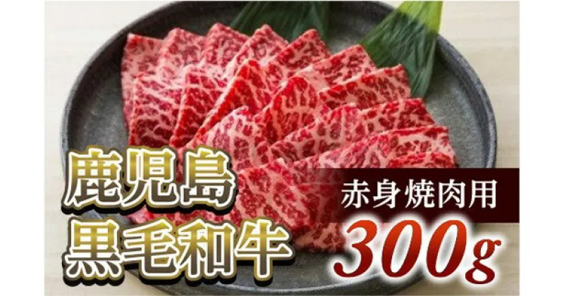 【ふるさと納税】赤身焼肉用300g　鹿児島黒毛和牛【尾崎牧場】