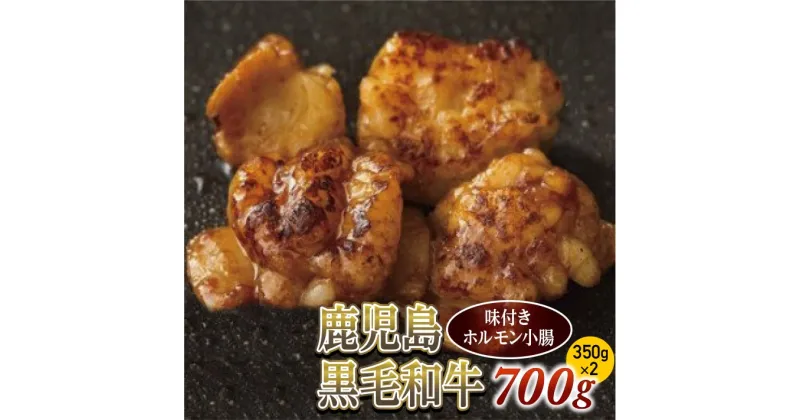 【ふるさと納税】味付きホルモン小腸700g(350g×2)　鹿児島黒毛和牛【尾崎牧場】